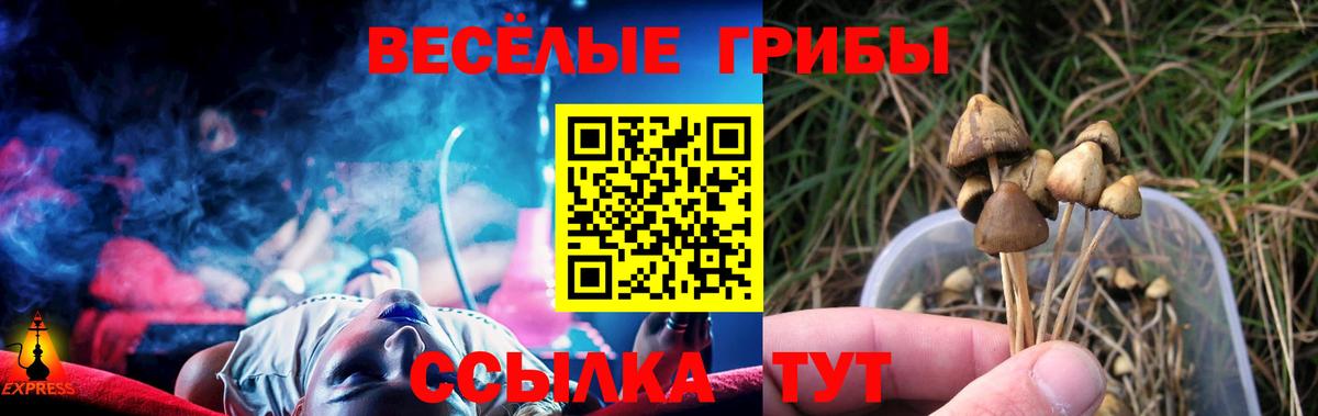 Галлюциногенные грибы мицелий  Галлюциногенные грибы GOLDEN TEACHER  Прохладный  Вход с VPN 